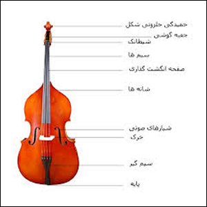 کنترباس