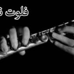 آموزش، تکنیکها و راهنمای انتخاب فلوت مناسب